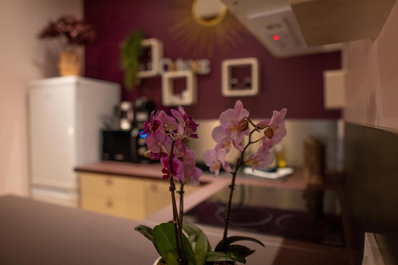 Studio Coeur De Ville Sanary Tres Cosy Parking Eksteriør billede